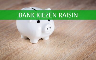 Welke bank bij Raisin hebben wij gekozen? En waarom?