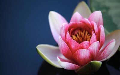 Inkomstenbelasting na overlijden